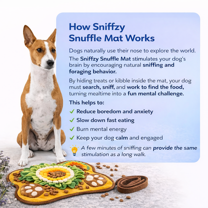 Sniffzy Mat [FREE TODAY]